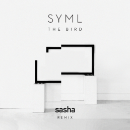 SYML 'The Bird'