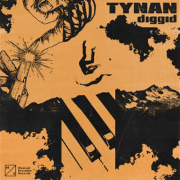 TYNAN - Diggid