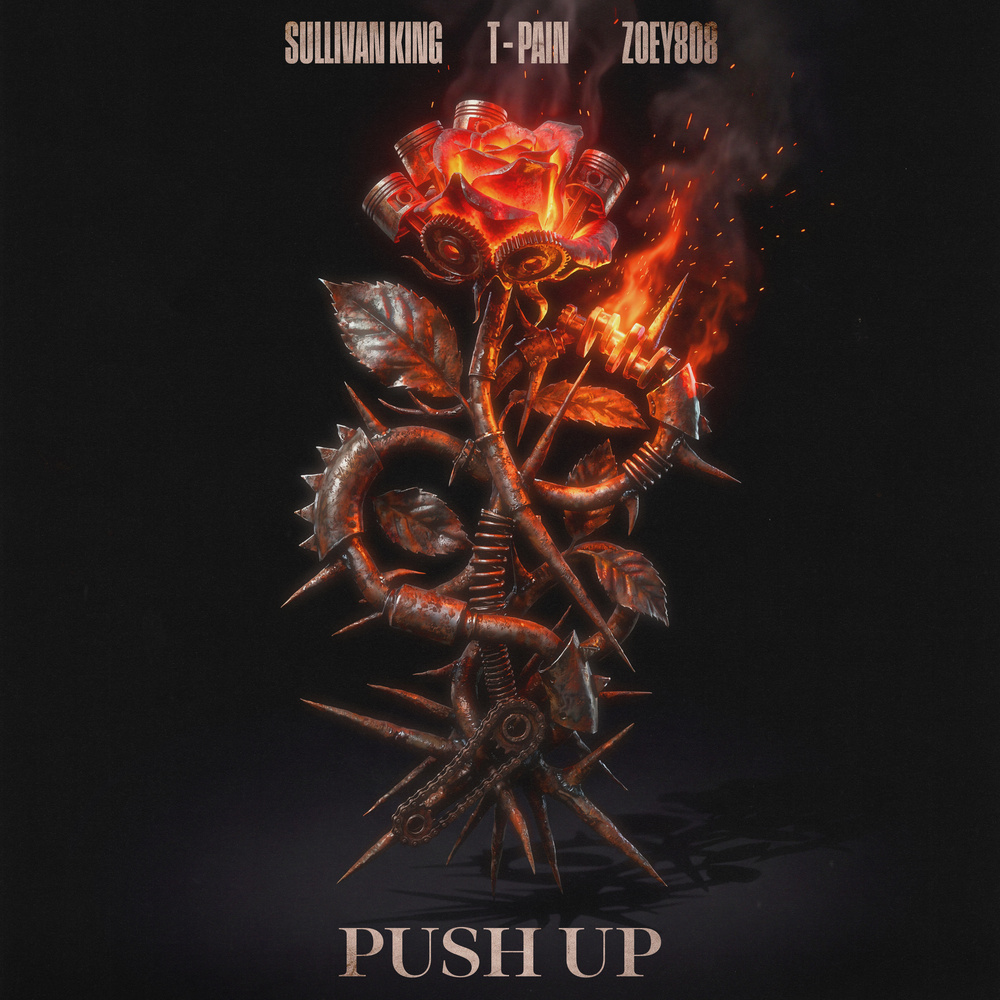 Sullivan King Push Up featuring T-Pain and Zoey808 cover art